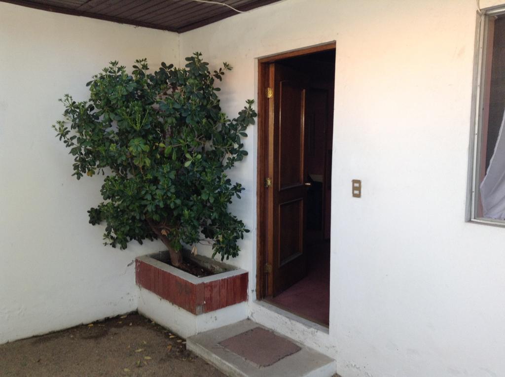 Hotel Alicante Chillán Eksteriør billede